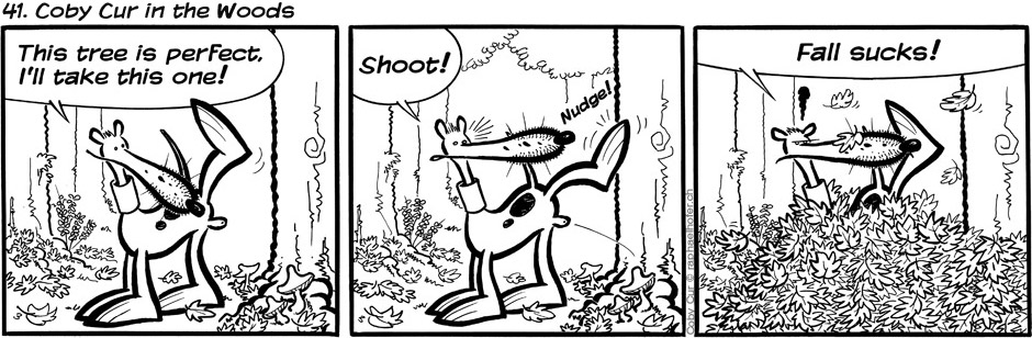 41. Coby Cur in the Woods