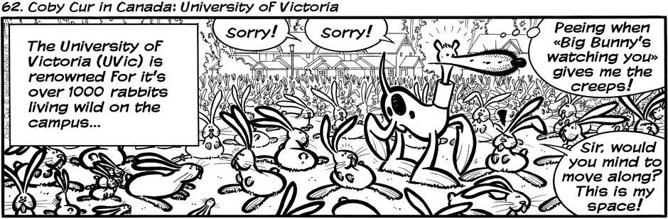 62. Coby Cur in Canada: University of Victoria