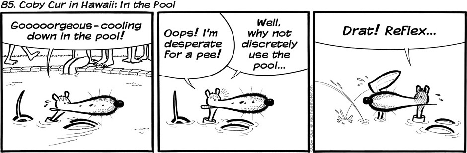 85. Coby Cur in Hawaii: In the Pool