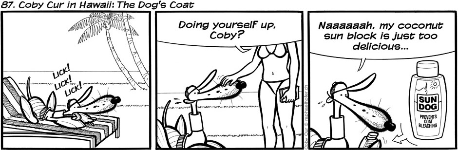 87. Coby Cur in Hawaii: The Dog's Coat