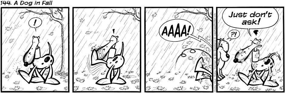 144. A Dog in Fall
