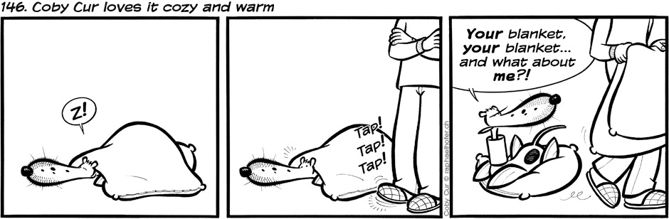 146. Coby Cur loves it cozy and warm