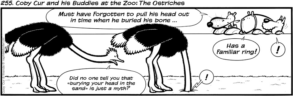 255. Coby Cur and his Buddies at the Zoo: The Ostriches