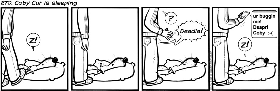 270. Coby Cur is sleeping