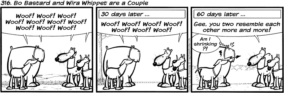 316. Bo Bastard and Wira Whippet are a Couple