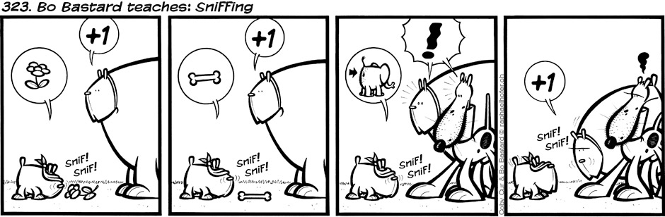 323. Bo Bastard teaches: Sniffing